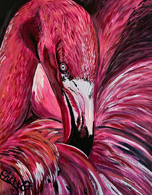 'FLAMINGO CLOSE UP'