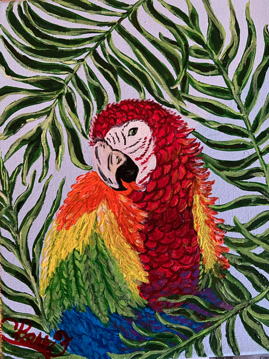 "MACAW"