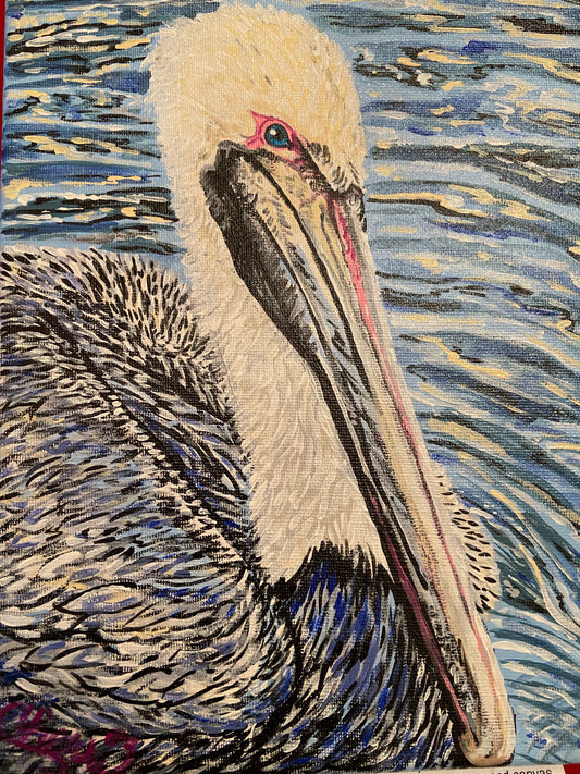 "PELICAN EYE"