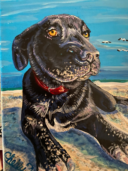 "BLACK LAB ON THE BEACH"