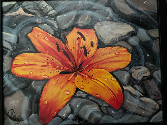 "TIGER LILLY"