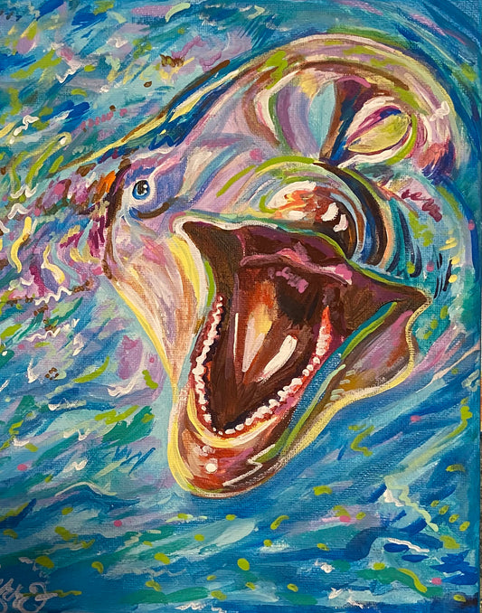 'HAPPY DOLPHIN"